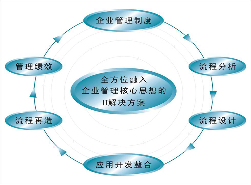 企業(yè)信息化原則